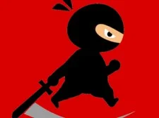 Mr Ninja Fighter